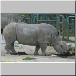 ba-zoobratislava-A43E70D3B290-44.jpg