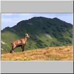 hore-nizke-tatry-5157e9eff6f608e1575caaa70ab1bfeb.jpg