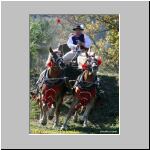hore-polomka-IMG_1111a_Povoz_JSP..jpg