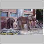 ponitrie-Zoo_Bojnice_jpg.jpg